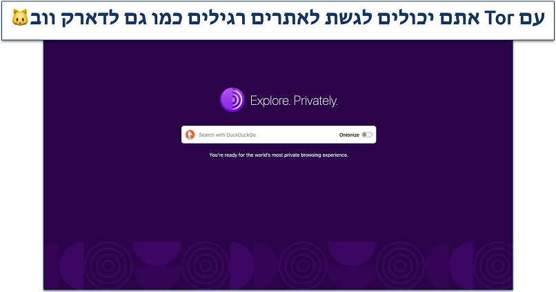 Screenshot of the Tor Browser homepage