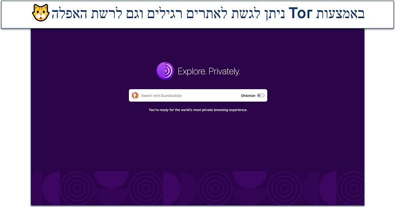 Screenshot of the Tor Browser homepage