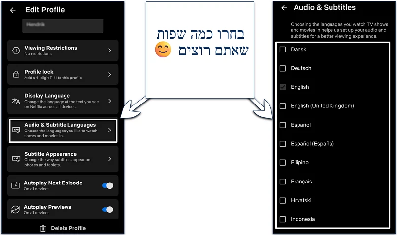 Screenshot of the Netflix mobile app language selection settings