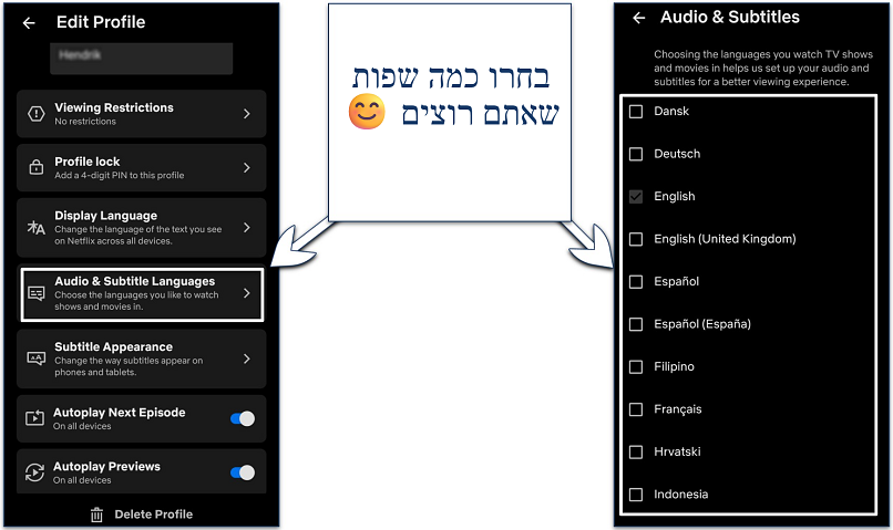 Screenshot of the Netflix mobile app language selection settings